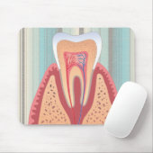 TOOTH STRUCTURE MUISMAT (Met muis)