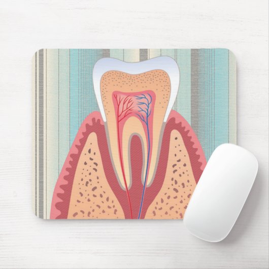 TOOTH STRUCTURE MUISMAT (Met muis)