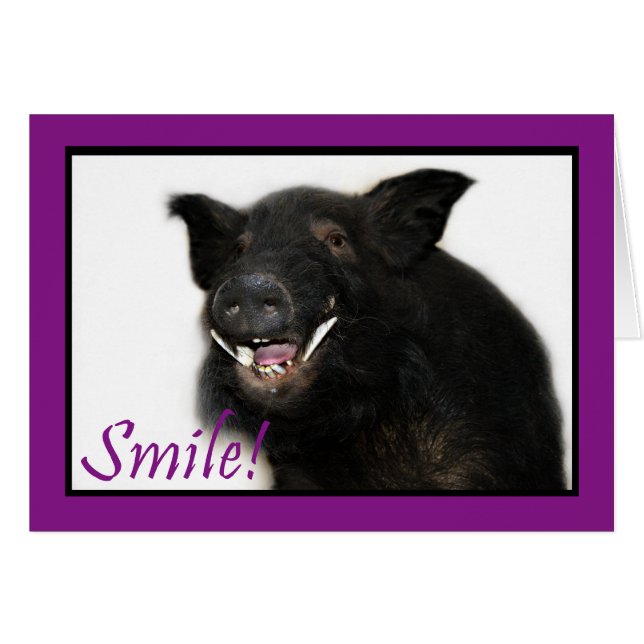 Toothy Hog Smile (Voorkant Horizontaal)