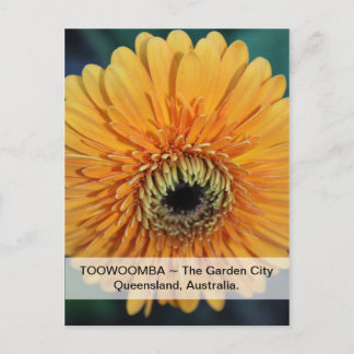 Toowoomba De Stadstuin Postkaart