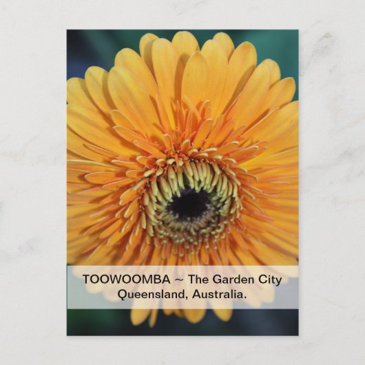 Toowoomba De Stadstuin Postkaart (Voorkant)
