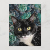 Top Cat Briefkaart (Voorkant)