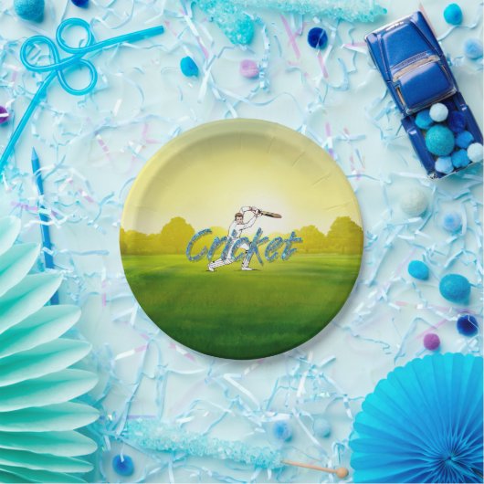 TOP Cricket Papieren Bordje (Feest)