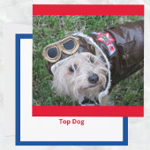 Top Dog in Aviator Kostuum Flat Note Kaart