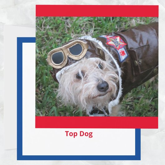 Top Dog in Aviator Kostuum Flat Note Kaart