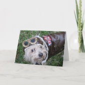 Top Dog in Aviator's Costume Note Kaart (Voorkant)