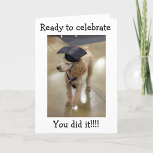 TOP DOG-JE GEDROOGD! KLAAR VOOR CELEBRATE KAART