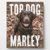 Top Dog PhotoPop Fotoplaat (Voorkant)