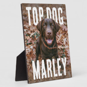 Top Dog PhotoPop Fotoplaat