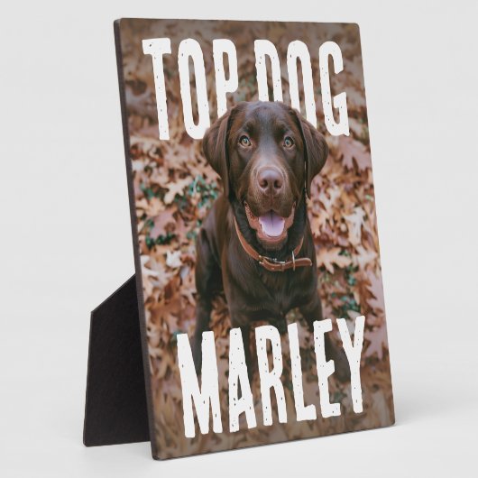 Top Dog PhotoPop Fotoplaat (Zijkant)