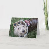 Top Dog Vaderdag of Verjaardag Fotografisch Kaart (Voorkant)