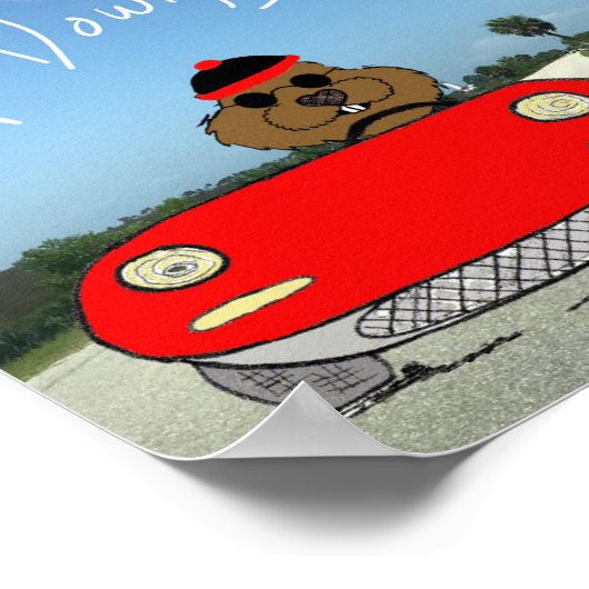 Top Down Groundhog Day Poster (Hoek)