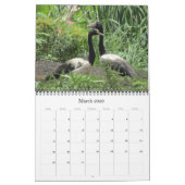 Top eind vogels 2025 kalender (Mar 2026)