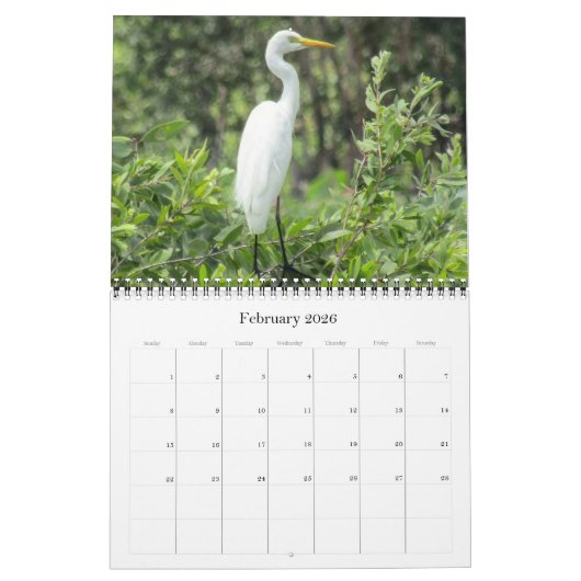 Top eind vogels 2025 kalender (Feb 2026)