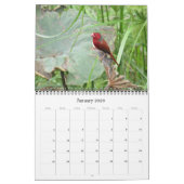 Top eind vogels 2025 kalender (Jan 2026)