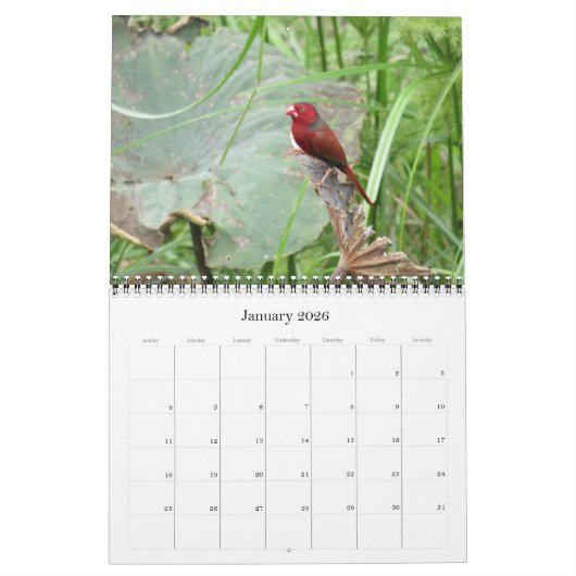 Top eind vogels 2025 kalender (Jan 2026)