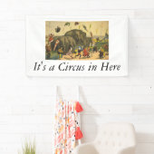 TOP Elephant Acrobat Spandoek (Insitu)