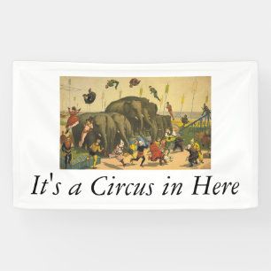 TOP Elephant Acrobat Spandoek