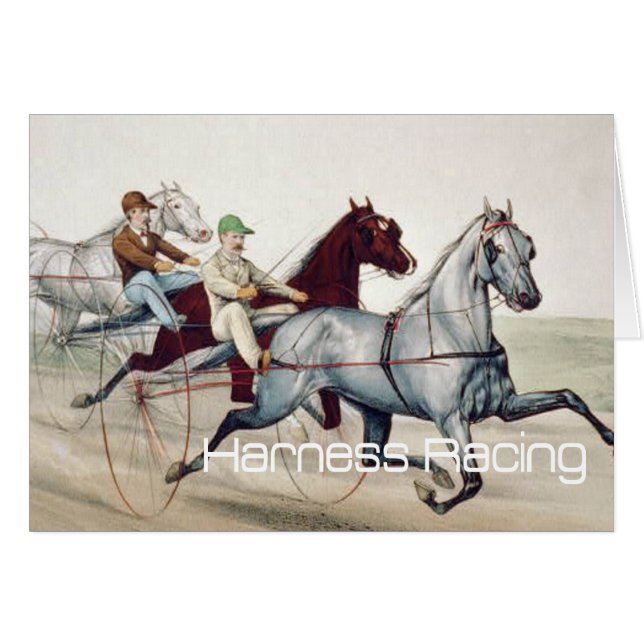 TOP Harness Racing (Voorkant Horizontaal)