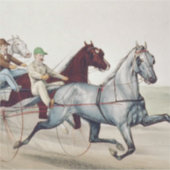 TOP Harness Racing Sticker (Voorkant)