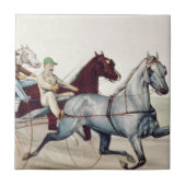 TOP Harness Racing Tegeltje (Voorkant)