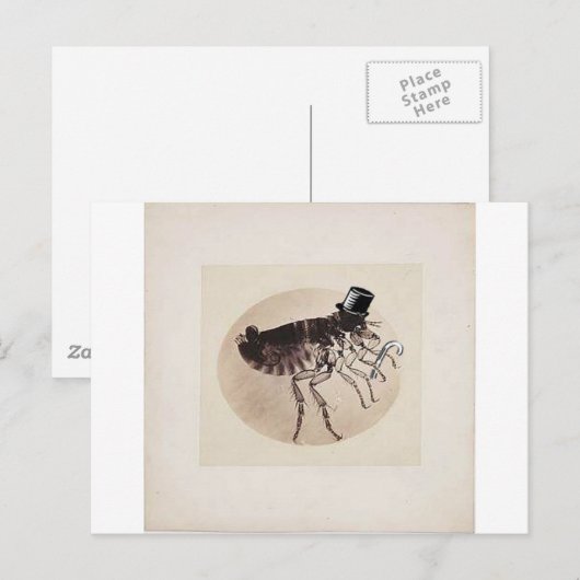 Top Hat en Cane Flea Briefkaart (Voorkant / Achterkant)
