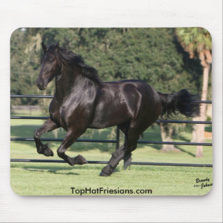 Top Hat Friesians Muismat