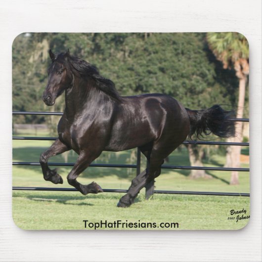Top Hat Friesians Muismat (Voorkant)