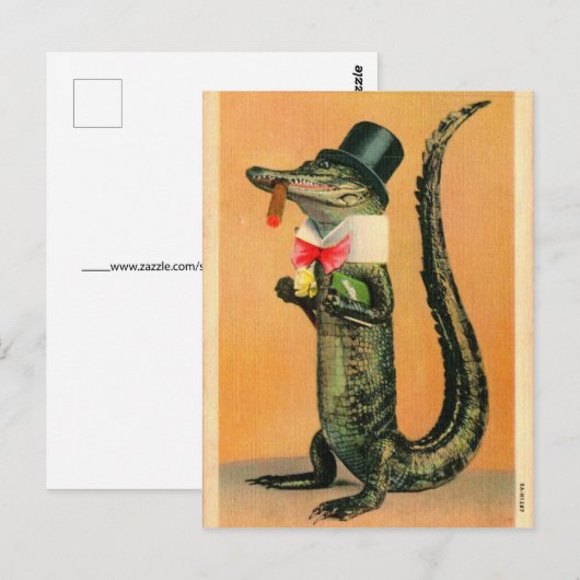 Top Hat Gator Briefkaart (Voorkant / Achterkant)