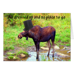 Top Hat Moose