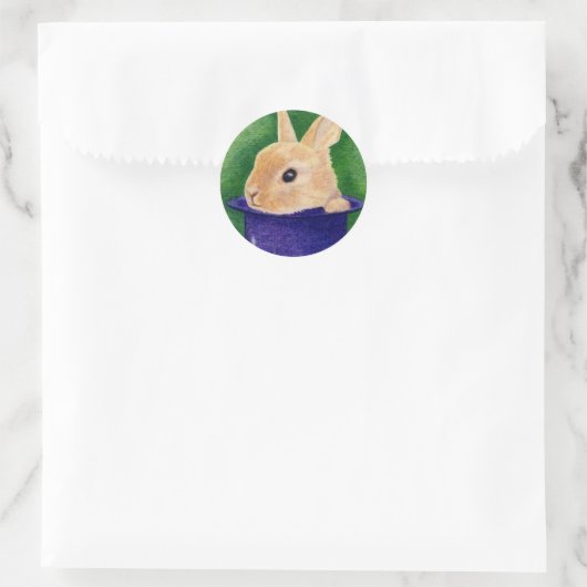 Top Hoed Bunny Sticker (Tas)