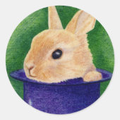Top Hoed Bunny Sticker (Voorkant)