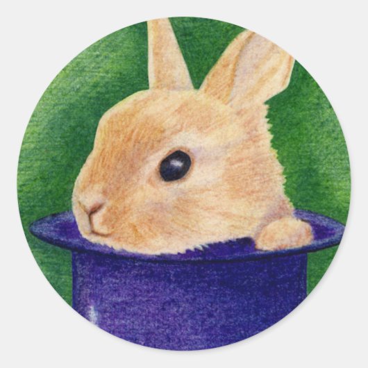 Top Hoed Bunny Sticker (Voorkant)