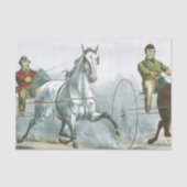 TOP Horse Poetry Tissuepapier (Voorkant)