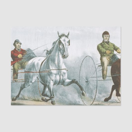 TOP Horse Poetry Tissuepapier (Voorkant)