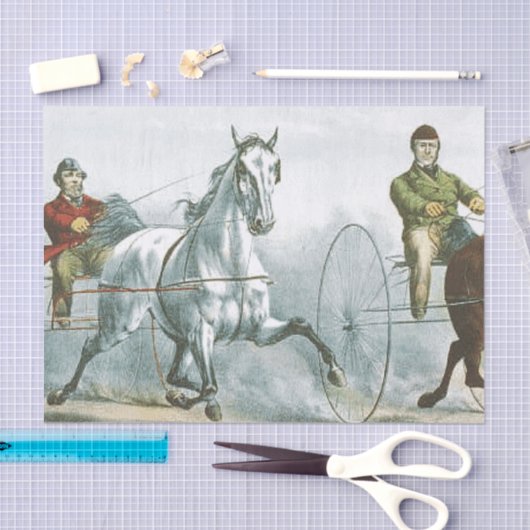 TOP Horse Poetry Tissuepapier (Craft)