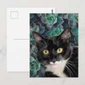 Top Kat Ansichtkaart Briefkaart (Voorkant / Achterkant)