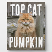 Top Kat FotoPop Fotoplaat (Voorkant)