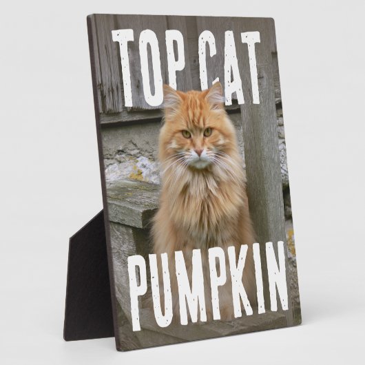 Top Kat FotoPop Fotoplaat (Zijkant)
