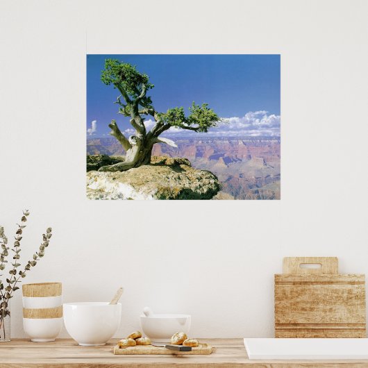 Top O' The Canyon Poster (Keuken)