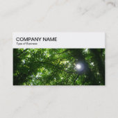Top Panel - Sun Shining Through Trees Business Car Visitekaartje (Voorkant)