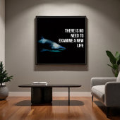 Top Poster