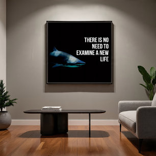Top Poster