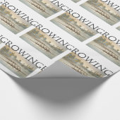 TOP Roing Cadeaupapier (Hoek)