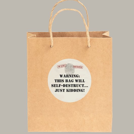 Top Secret Spy Mission Kinder Partij Ronde Sticker