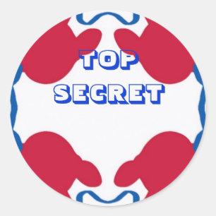 TOP SECRET STICKER