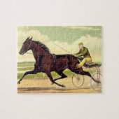 TOP Sulky Champ Legpuzzel (Horizontaal)