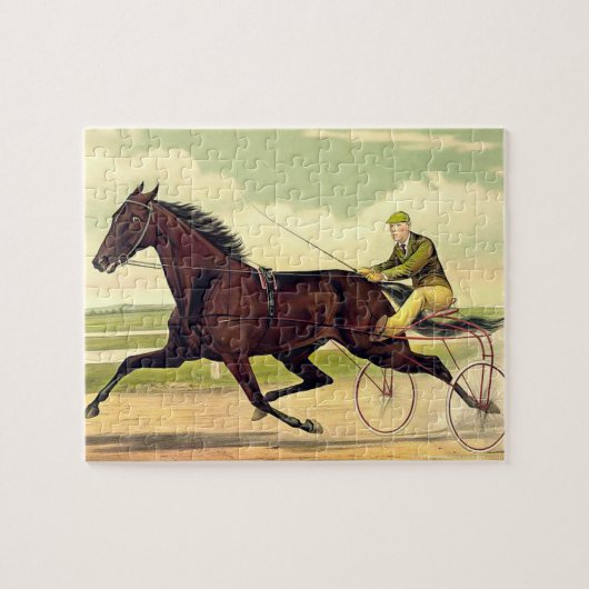 TOP Sulky Champ Legpuzzel (Horizontaal)