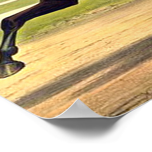 TOP Sulky Champ Poster (Hoek)