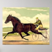 TOP Sulky Champ Poster (Voorkant)